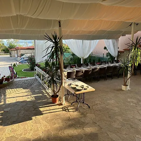 Hayat Ltd Хотел *