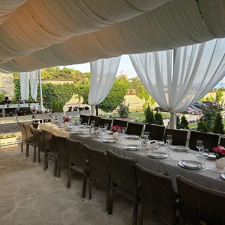 Hayat Ltd 普里莫尔斯科